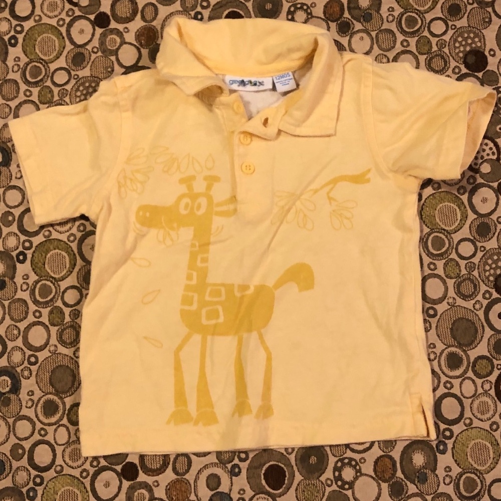12 month polo